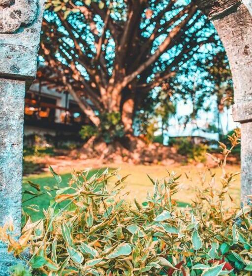 La Provence Restaurant & Hotel Boutique