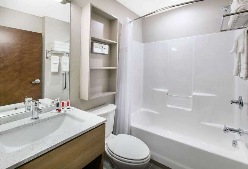 Microtel Inn & Suites By Wyndham Lubbock