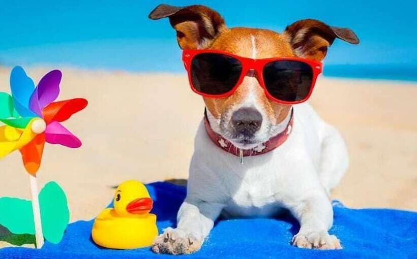 Pacific Paradise Motel