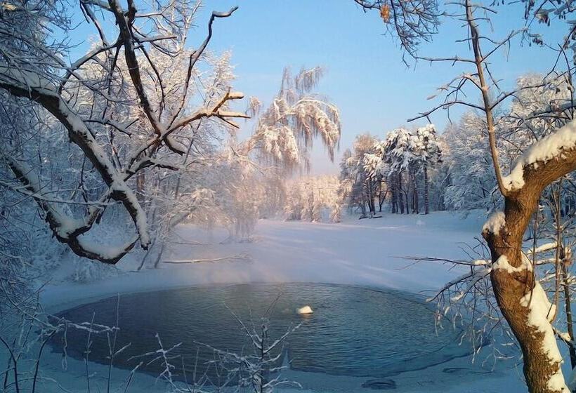 Park Hotel Vozdvizhenskoe