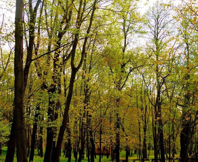 Park Hotel Vozdvizhenskoe