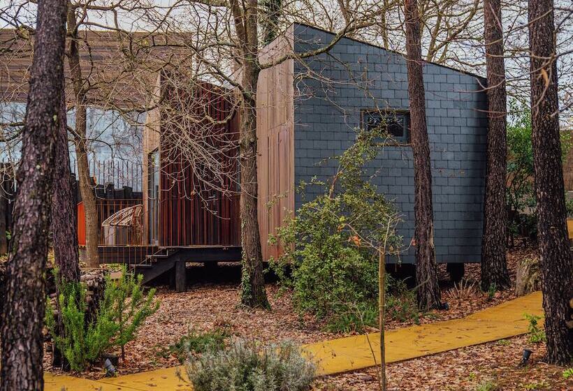 Пансион Quinta Do Pedregal Hotel & Spa