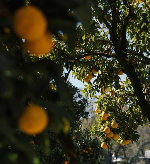 Ribeira Collection by Piamonte hotels