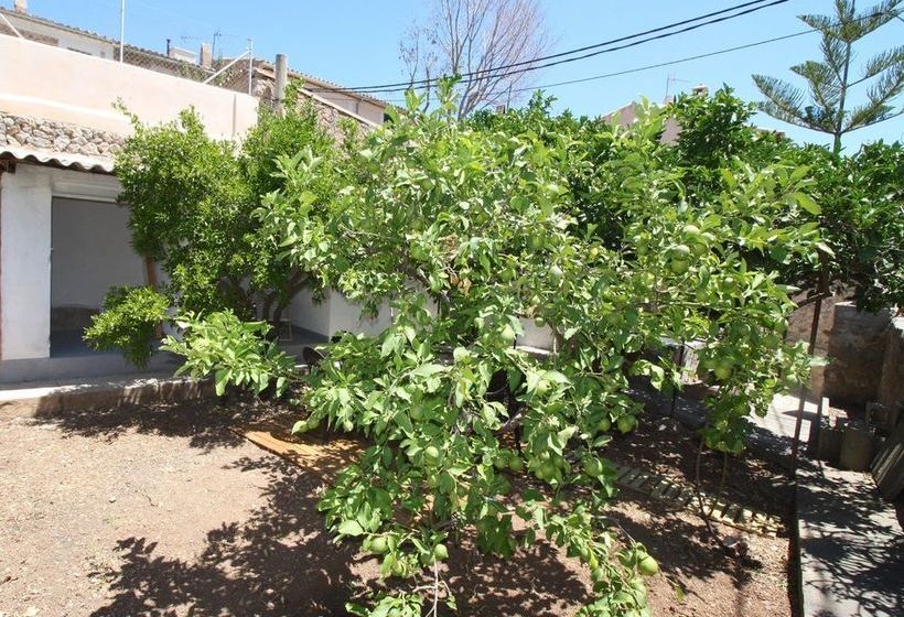 Villa Esporles Garden