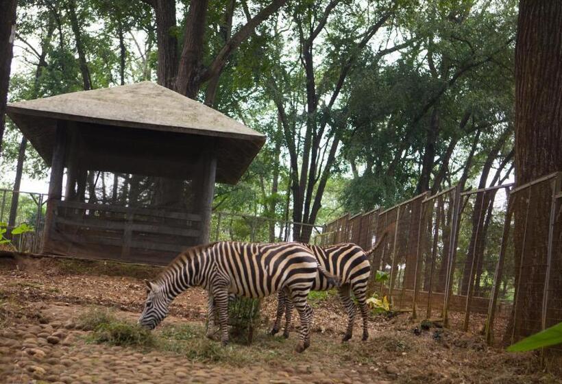 Amaris Hotel Mampang   Jakarta