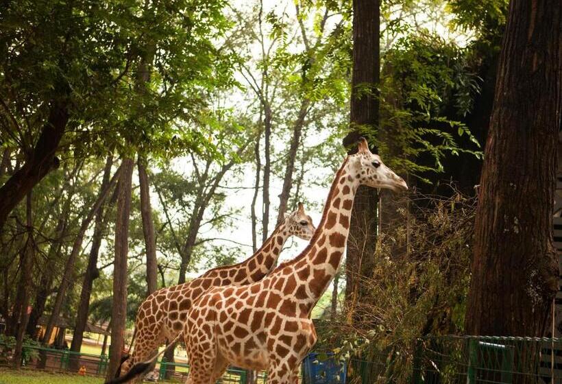 Amaris Hotel Mampang   Jakarta