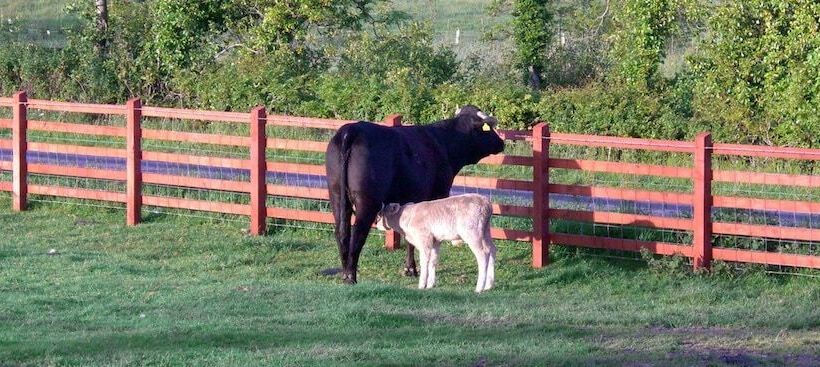 住宿加早餐  Avondale Farmhouse