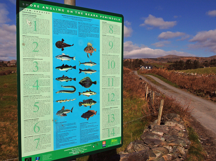 민박 Dromagowlane House