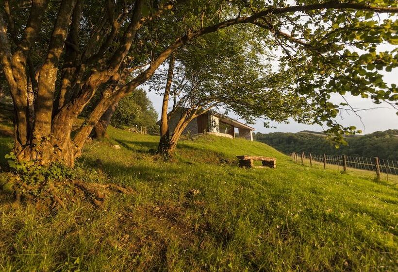 Cabañas Deluxe Basajaun Basoa By Irrisarri Land