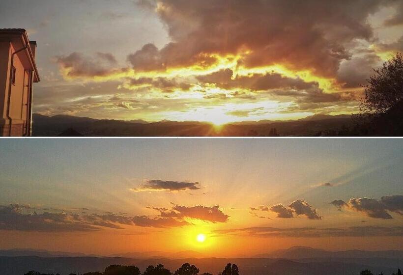 בית מלון כפרי Arktos