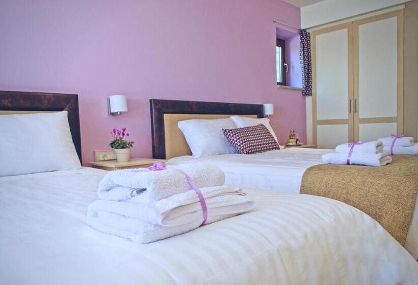 בית מלון כפרי Arktos