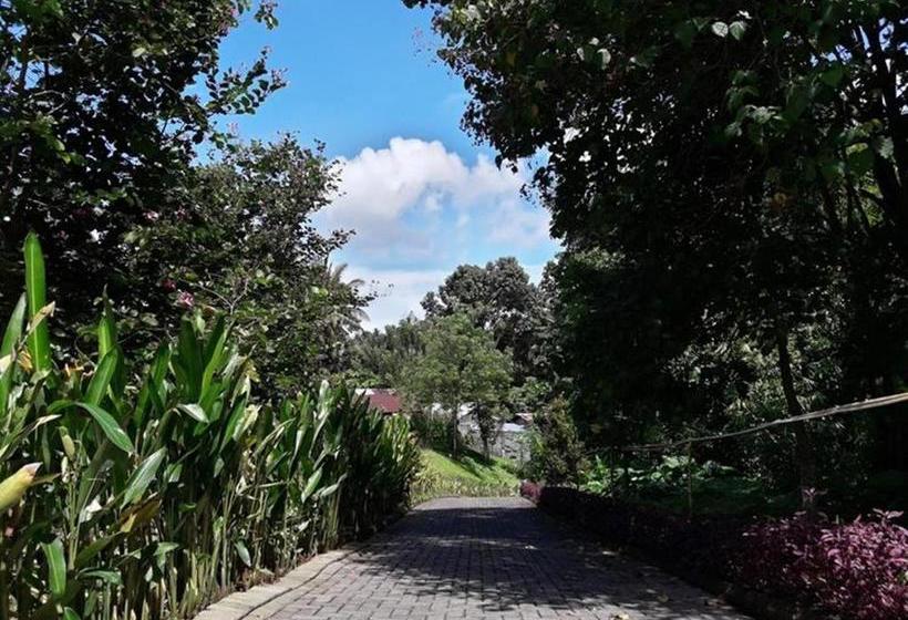 酒店 Botanica Nature Resort