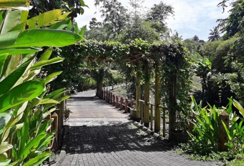 酒店 Botanica Nature Resort