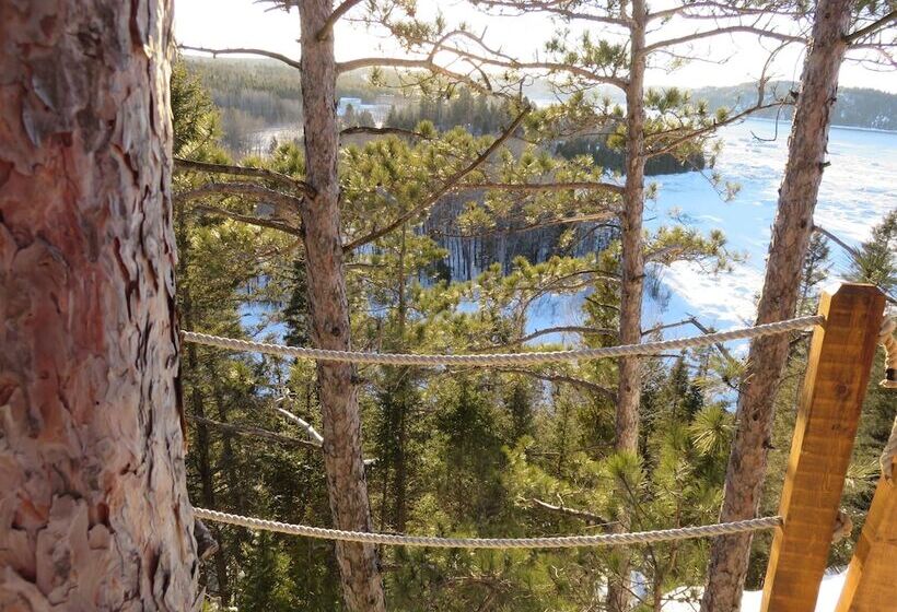 호텔 Gite Du Haut Des Arbres