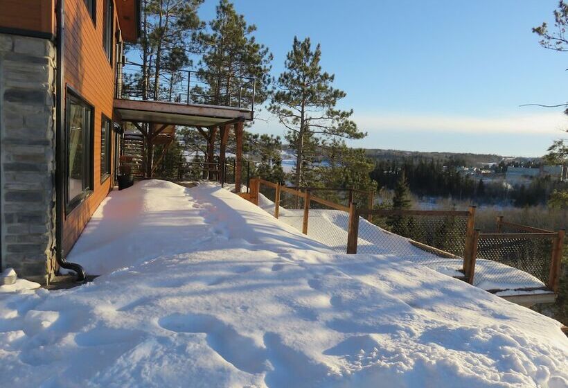 בית מלון כפרי Gite Du Haut Des Arbres