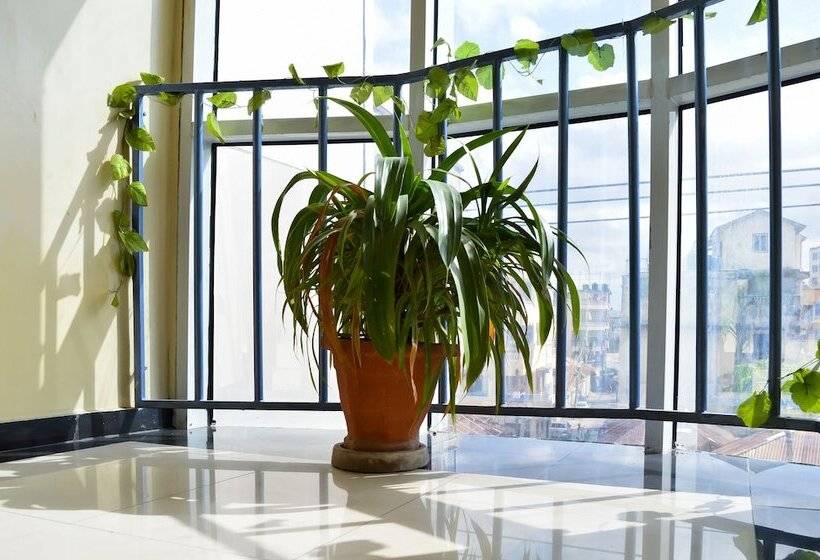 Отель Global Palace