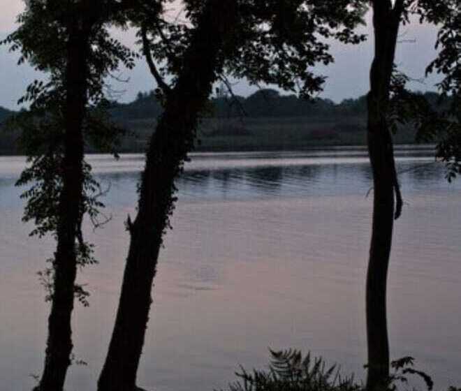 בית מלון כפרי Lusty Beg Island