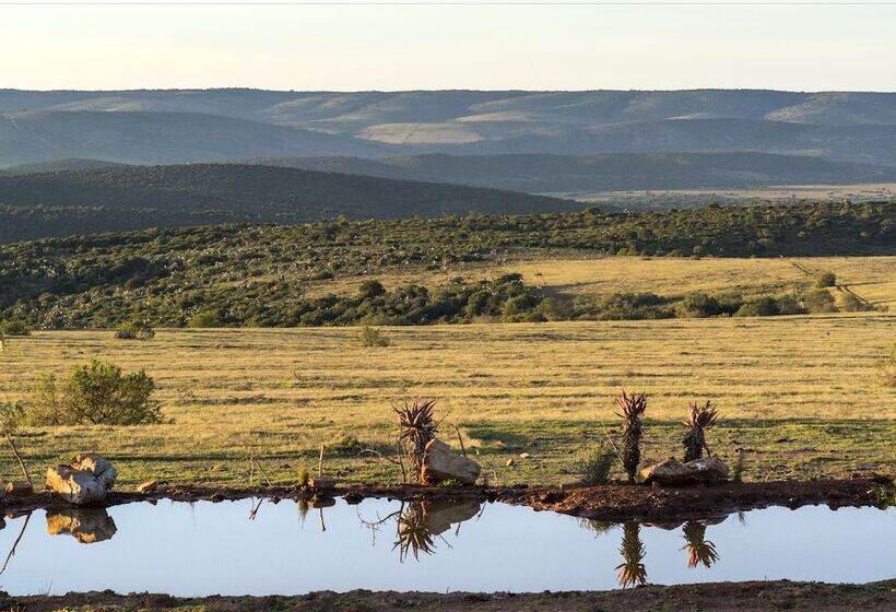 هتل Mantis Founders Lodge