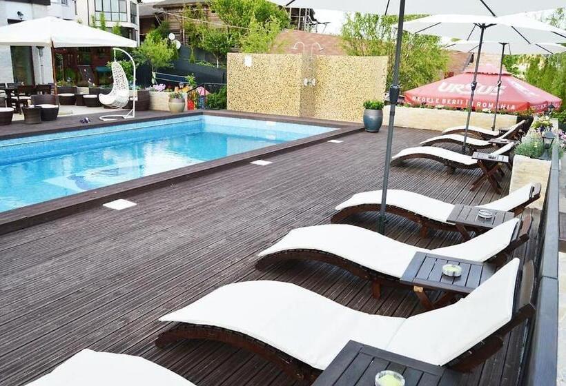 Отель Pensiunea Delta Dreams