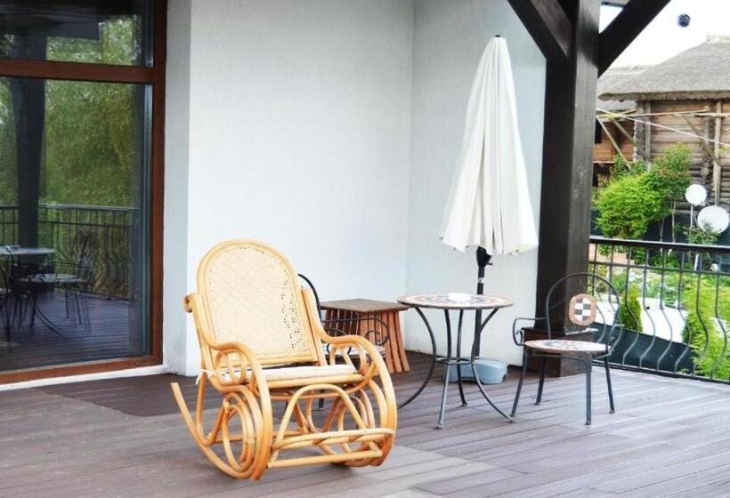 Отель Pensiunea Delta Dreams