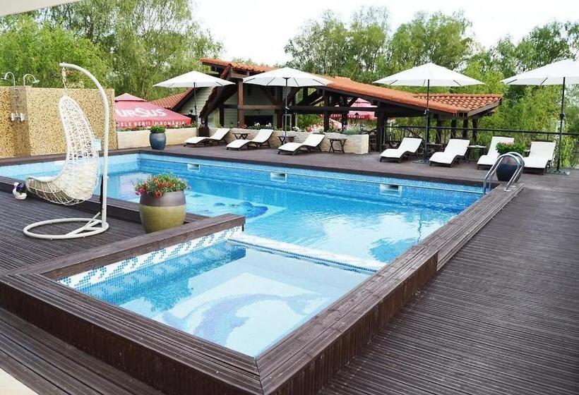 Отель Pensiunea Delta Dreams