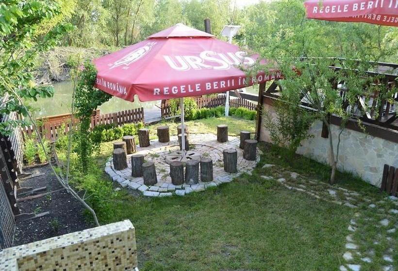 Отель Pensiunea Delta Dreams