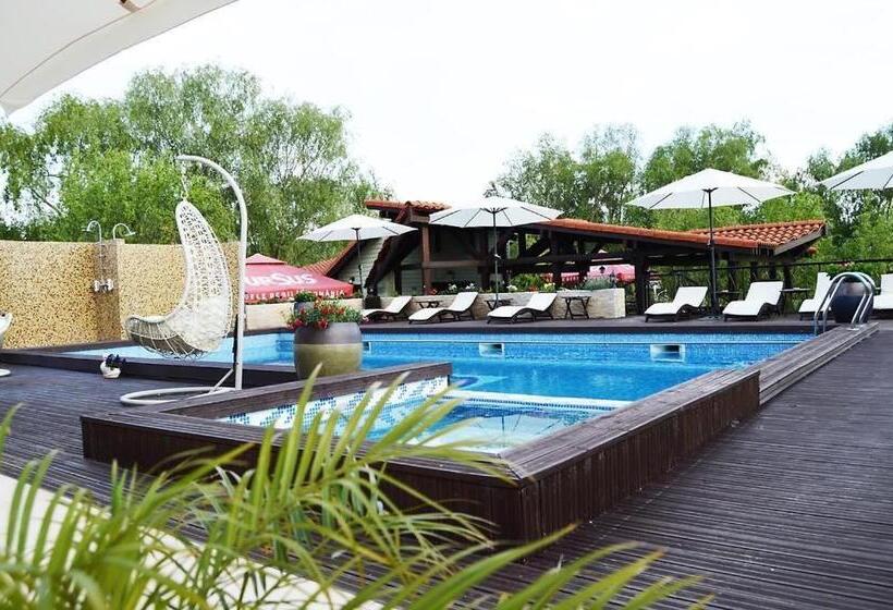 Отель Pensiunea Delta Dreams