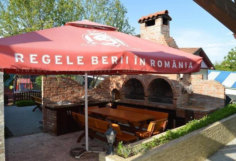 Отель Pensiunea Delta Dreams