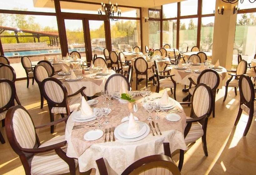 Отель Pensiunea Delta Dreams