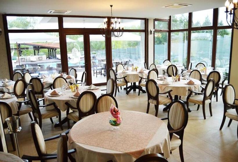 Отель Pensiunea Delta Dreams