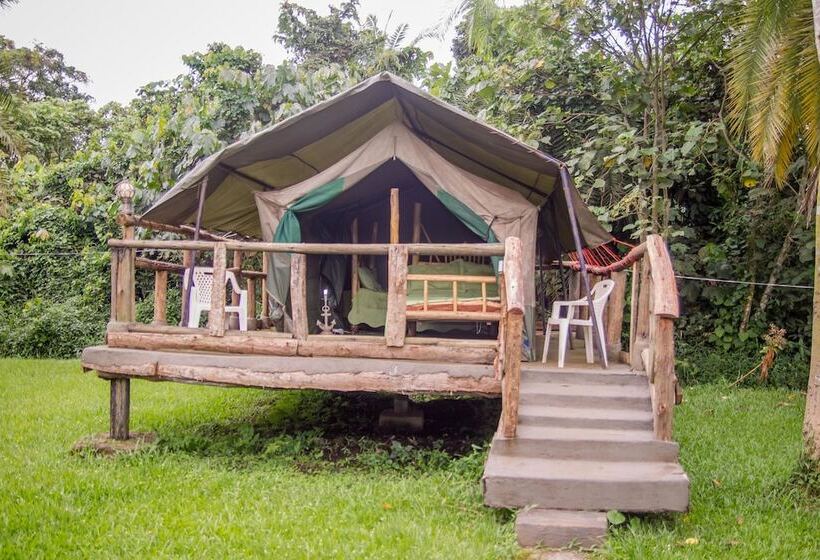 Hotel Roots Retreat And Camping Resort