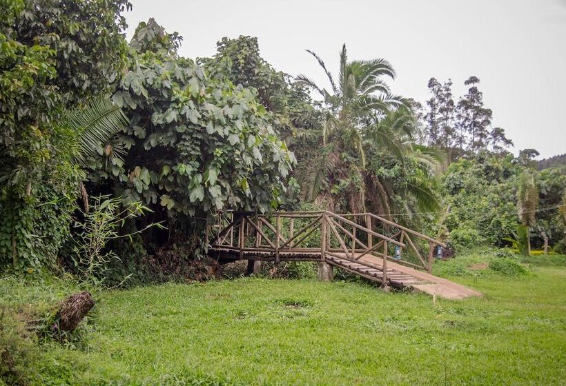 Hotel Roots Retreat And Camping Resort