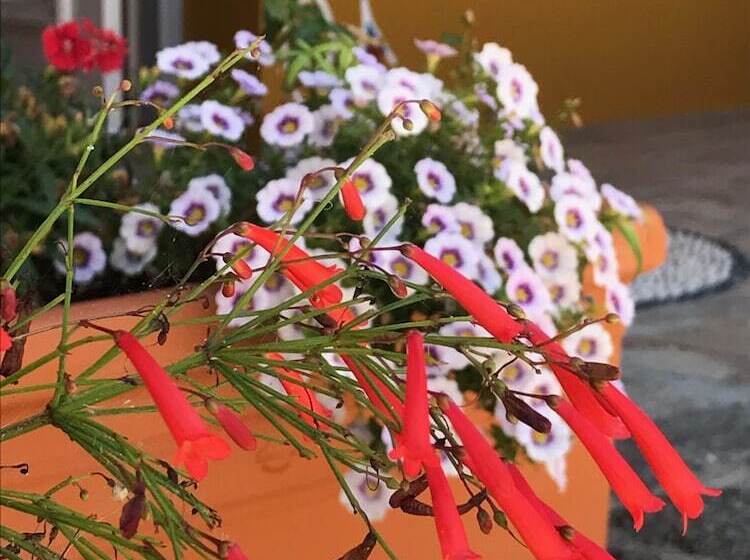 בית מלון כפרי Saint Artemios Boutique