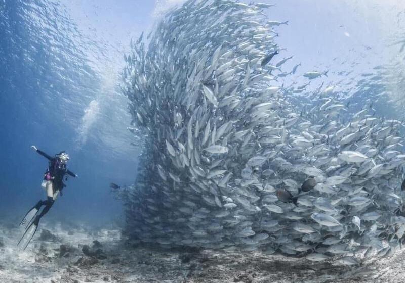 Отель Sipadan Inn 1