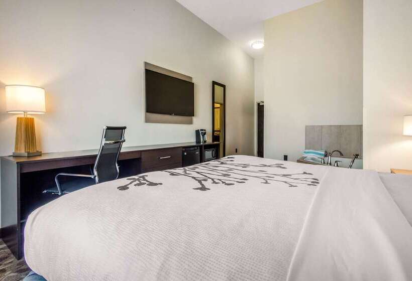 Отель Sleep Inn & Suites Middletown   Goshen