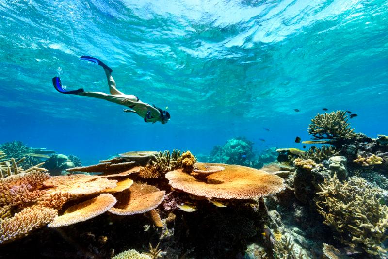 호텔 The Remote Resort