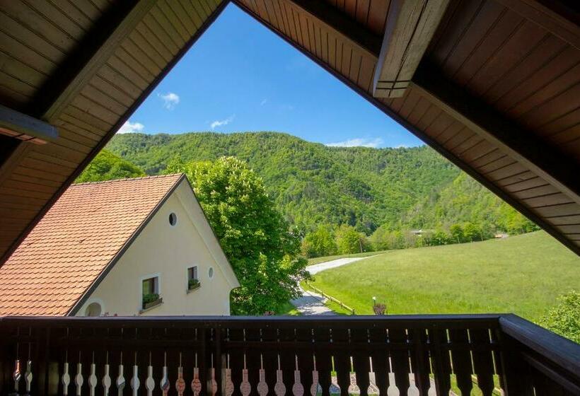 هتل Tourist Farm Zelinc