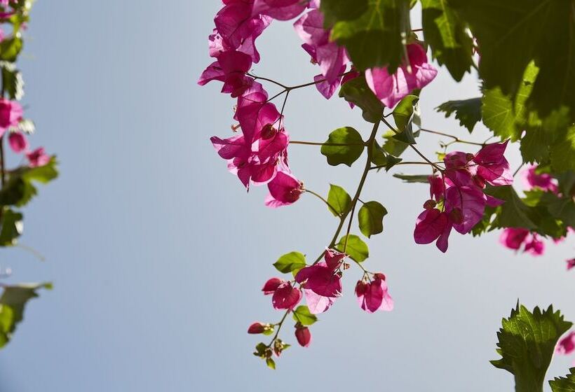 Mrs. Armelina By Mr&mrs White Hotels