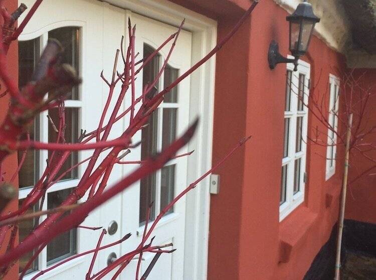Alsbrogaard Deluxe Bed & Breakfast