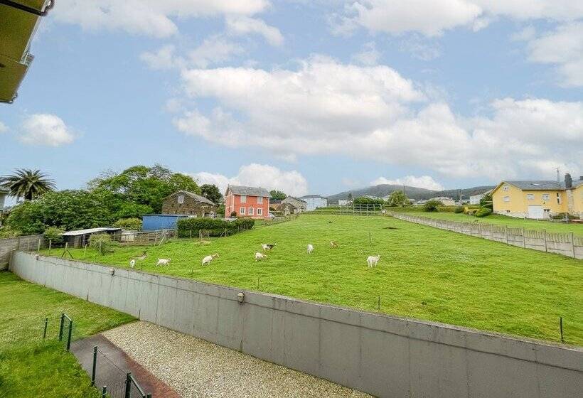 Alojamientos Barreiros 3000