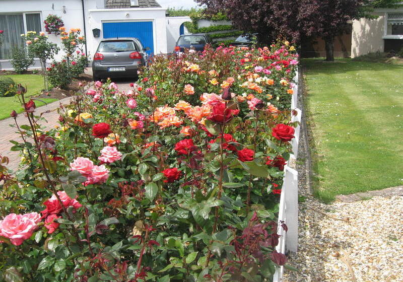 Azure Bed And Breakfast