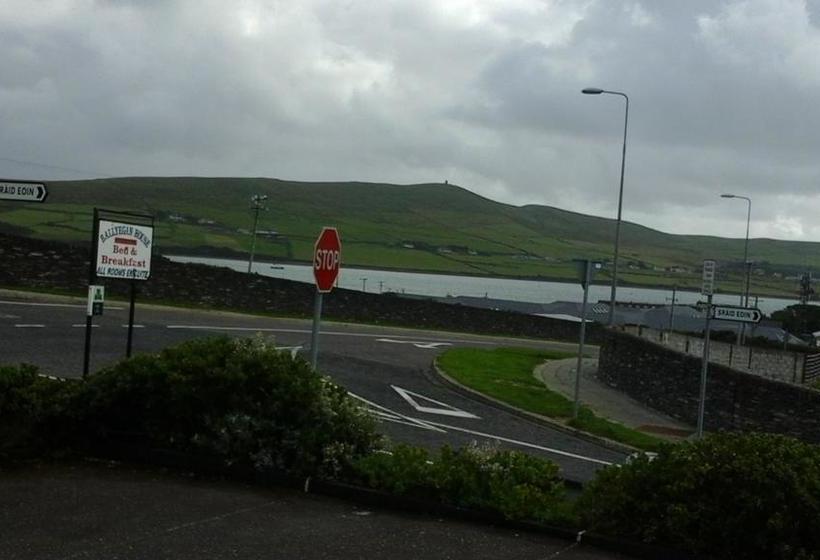 住宿加早餐 Ballyegan House