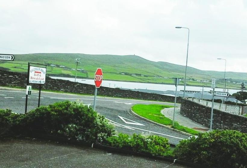 住宿加早餐 Ballyegan House