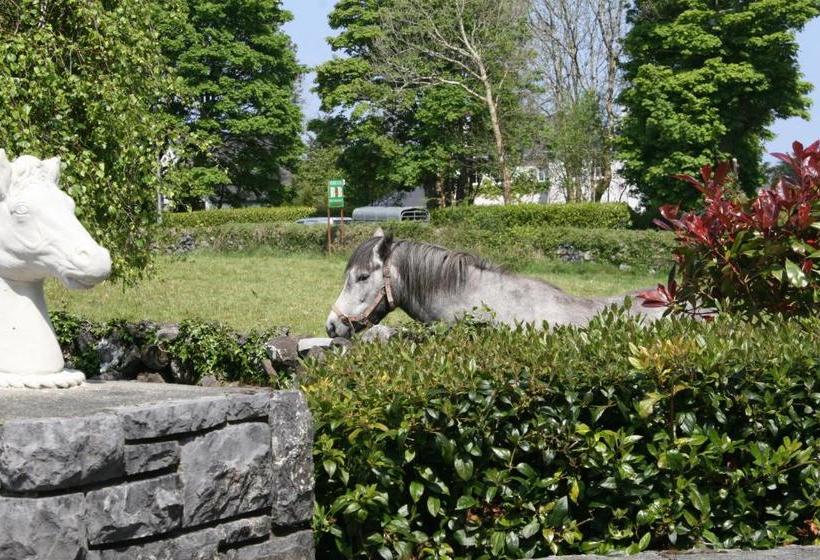 Carrowntober House B & B