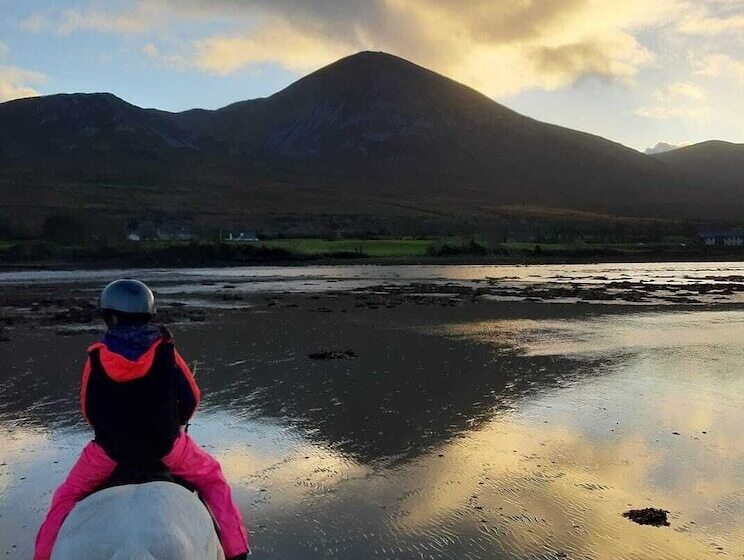 צימר Elmgrove Apartments