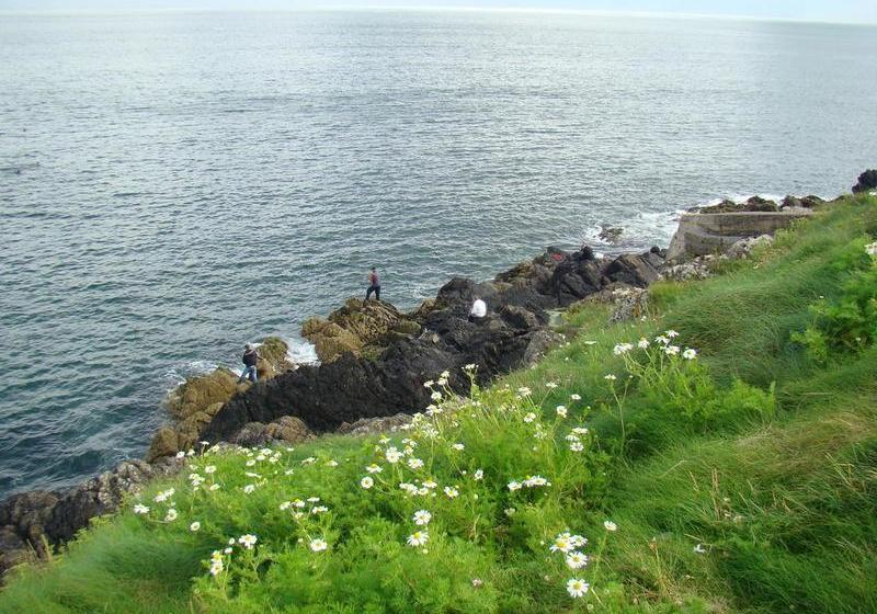 住宿加早餐  Fern Hill Guest House