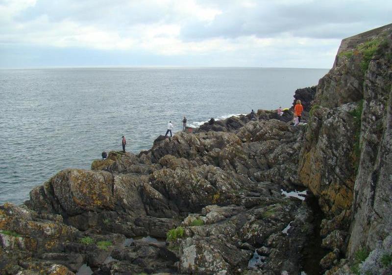 住宿加早餐  Fern Hill Guest House