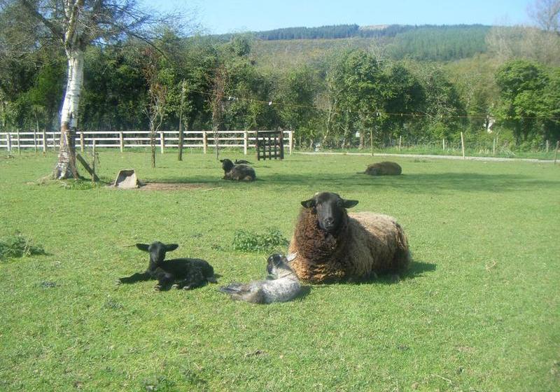 צימר Homeleigh Farmhouse