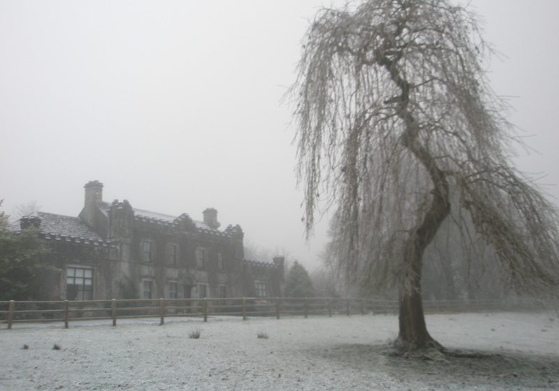 مبيت وإفطار Newpark House