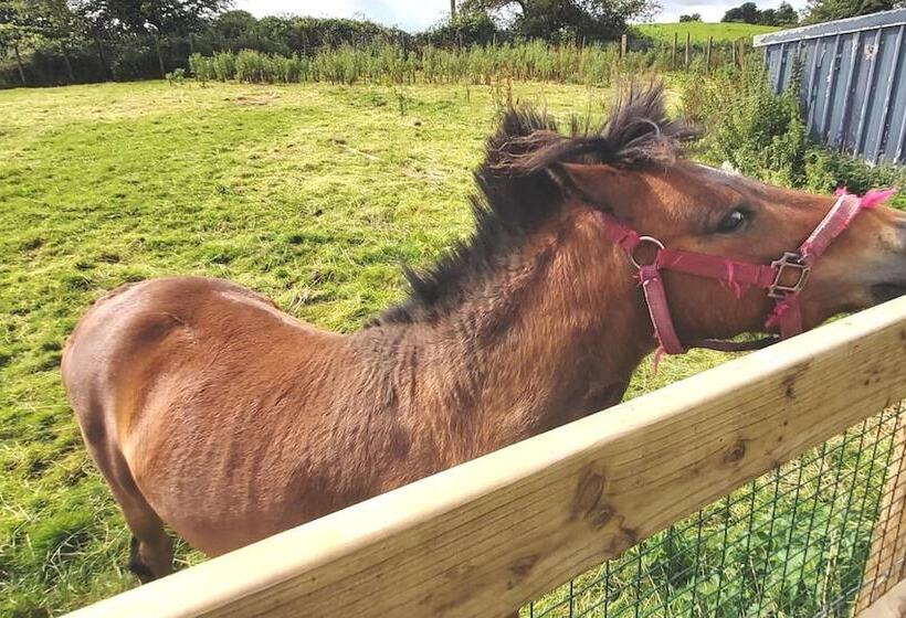مبيت وإفطار Valley Lodge